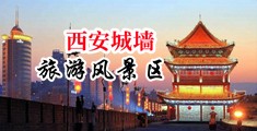 快点来舔我的大鸡吧视频中国陕西-西安城墙旅游风景区