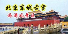 骚插逼中国北京-东城古宫旅游风景区